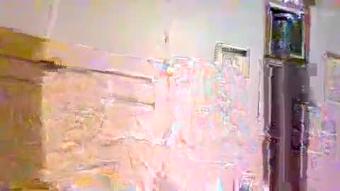 007_springer online show from March 23, 9:57 am