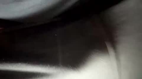 24robin online show from February 5, 8:46 pm