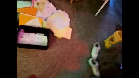 Steviesnickers online show from January 15, 1:59 pm