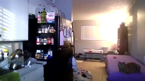 2girls1link online show from December 31, 3:31 pm