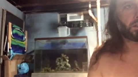 Snapshot of 33adidas chatting on November 26, 8:48 am 33adidas online show from November 26, 8:48 am