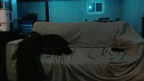 Snapshot of 420bunnie chatting on February 26, 7:20 am 420bunnie online show from February 26, 7:20 am