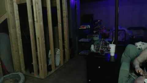 Snapshot of 420bunnie chatting on March 1, 3:53 am 420bunnie online show from March 1, 3:53 am