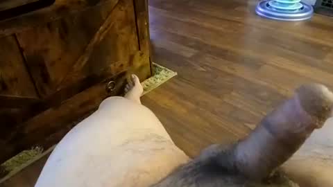 Snapshot of 5tone_bon3 chatting on January 20, 7:04 am 5tone_bon3 online show from January 20, 7:04 am