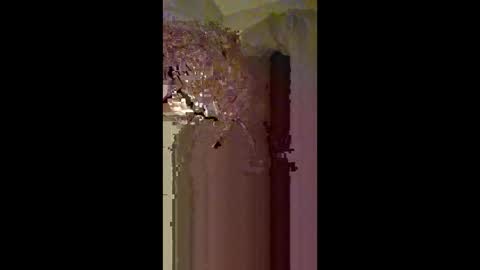 Zeus online show from February 22, 3:40 am