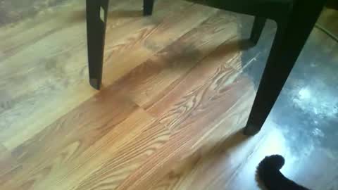 69forever453443 online show from November 14, 1:43 pm