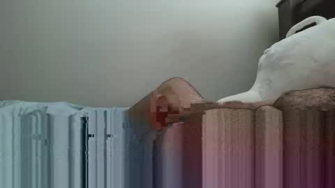 Snapshot of 6boss498491 chatting on February 23, 12:52 am 6boss498491 online show from February 23, 12:52 am