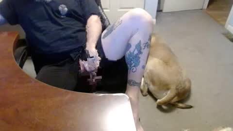 Snapshot of 70paborn chatting on January 16, 5:28 pm MASTIFF online show from January 16, 5:28 pm