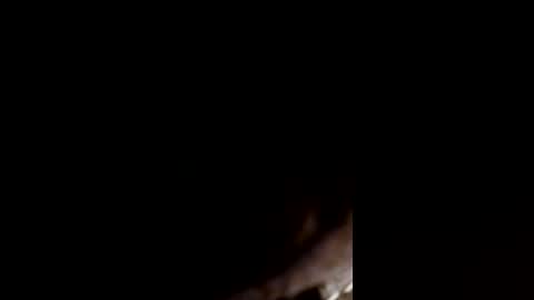 720damecurry online show from June 22, 2:13 am