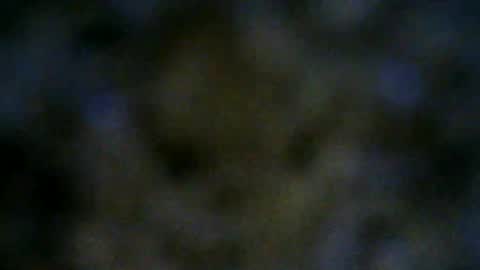 Snapshot of 77lilu chatting on June 18, 10:03 pm Lilu online show from June 18, 10:03 pm
