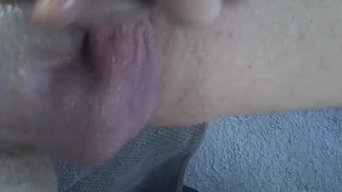 Snapshot of 81_harterschwanz chatting on February 6, 10:48 am Maximilian Max online show from February 6, 10:48 am