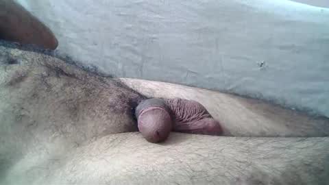 Massive hungry cock online show from July 5, 1:34 am