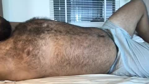 Snapshot of _alan_bear_ chatting on February 13, 3:46 am Alan online show from February 13, 3:46 am