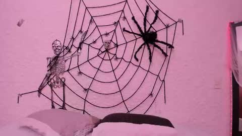 Snapshot of _alexandersawyer_ chatting on October 22, 4:46 am Alexander online show from October 22, 4:46 am