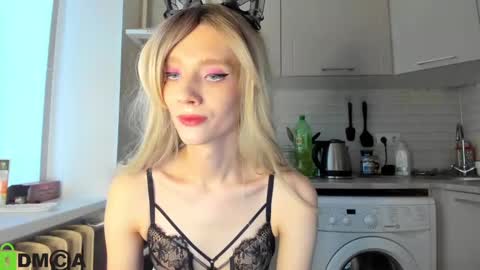 Gaylord online show from January 28, 12:00 pm