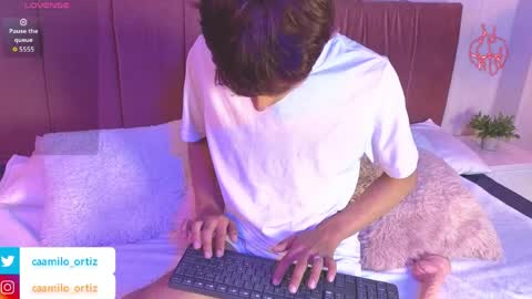  camilo online show from April 4, 1:30 pm