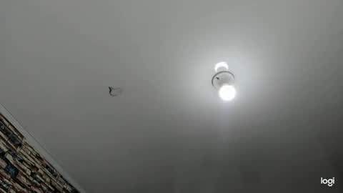 Snapshot of _casandra11 chatting on January 23, 9:39 am _casandra11 online show from January 23, 9:39 am