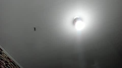 Snapshot of _casandra11 chatting on February 17, 3:36 am _casandra11 online show from February 17, 3:36 am