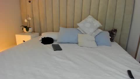 Dara online show from February 1, 11:48 pm