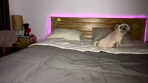 Snapshot of _elisavae chatting on December 15, 8:07 am elisa online show from December 15, 8:07 am