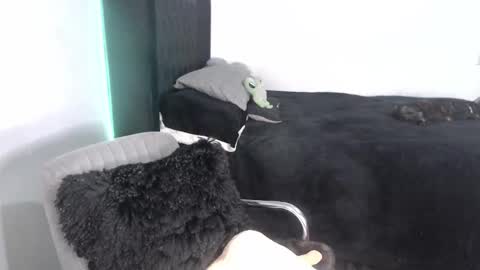 Proxy online show from September 25, 2:15 am