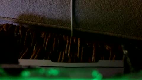 Snapshot of _frankensquirter___ chatting on February 6, 2:27 am Rex online show from February 6, 2:27 am