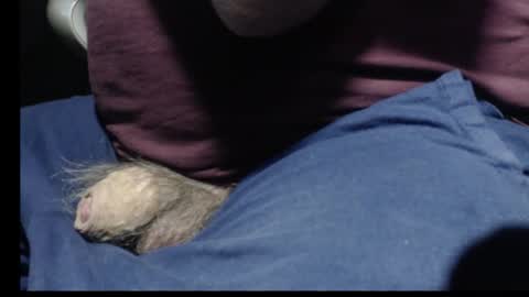 Snapshot of _jimmini chatting on February 12, 8:59 pm _jimmini online show from February 12, 8:59 pm