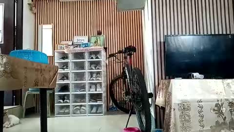 Kylie online show from September 11, 12:44 am