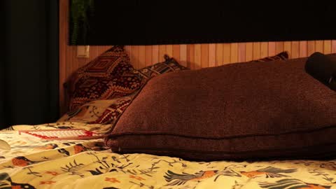 Lady Jess from house of Dragonborns online show from January 21, 3:10 pm