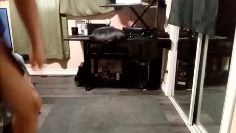 Olivia online show from November 24, 12:16 pm