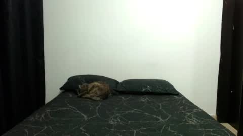 Sofia Parker online show from November 10, 7:18 am