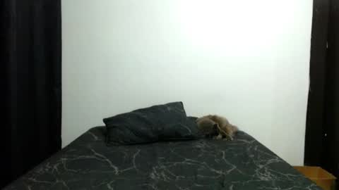 Sofia Parker online show from November 13, 3:55 pm