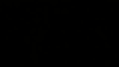 Melisa online show from February 20, 2:46 pm