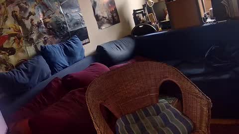 Sven online show from November 9, 12:58 pm