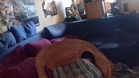 Sven online show from November 22, 12:15 pm