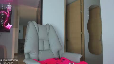 Snapshot of _veenus chatting on May 2, 10:48 pm stephany online show from May 2, 10:48 pm
