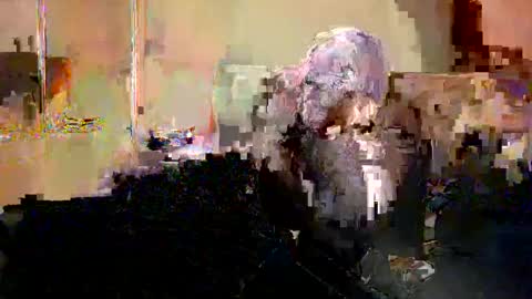 Nicole  Thomas  Dave online show from May 20, 8:59 pm