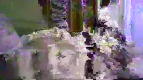 a203530 online show from January 8, 10:23 pm