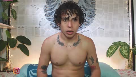 Manul online show from January 2, 1:30 pm