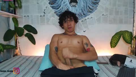 Manul online show from January 8, 1:32 am