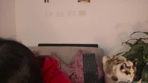 Snapshot of abbey_allen chatting on March 7, 11:38 pm Abbey  IG abby allenn  04 December Online at  I will be on vacation dont forget me  See you soon   online show from March 7, 11:38 pm