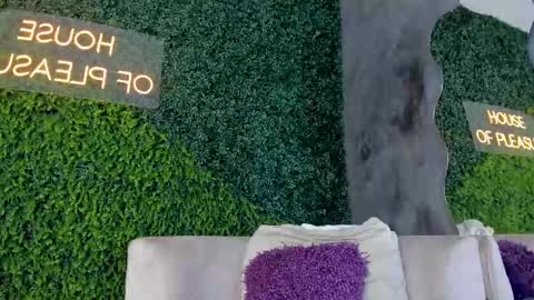 A B B Y online show from February 13, 11:50 am