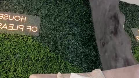 A B B Y online show from February 15, 2:44 pm