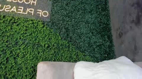 A B B Y online show from February 19, 6:21 pm