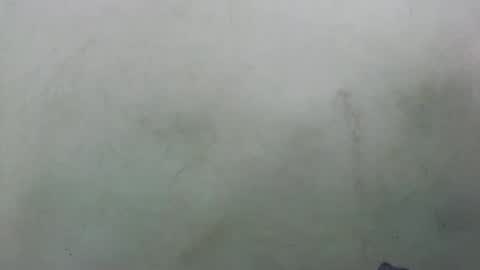 Snapshot of abella677022 chatting on February 16, 8:16 pm abella677022 online show from February 16, 8:16 pm