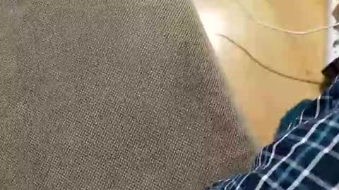 abepenix7 online show from March 23, 12:58 am