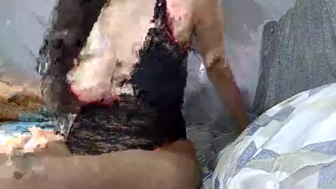 abril2026 online show from February 7, 12:36 am