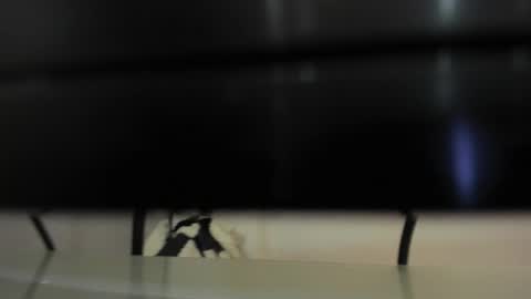 Abril 777 online show from February 22, 7:56 pm