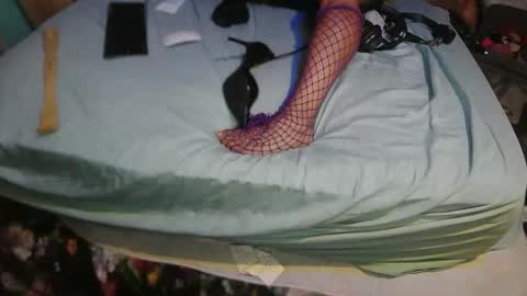 aCACiAs2022 online show from May 2, 3:55 am