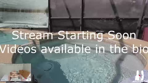 Adam And Eve online show from March 2, 3:27 pm